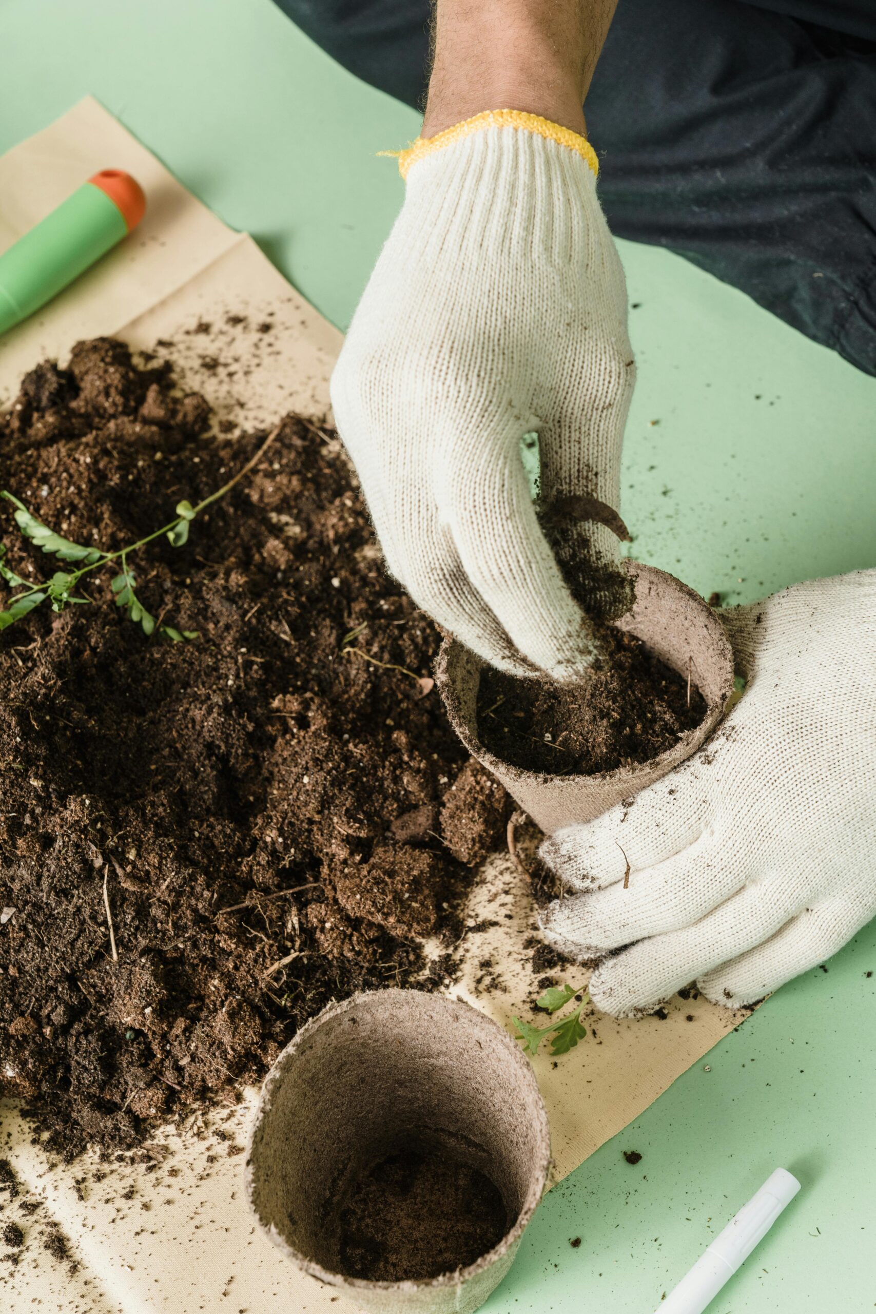 The benefits of green gardening: embracing peat-free coconut coir compost